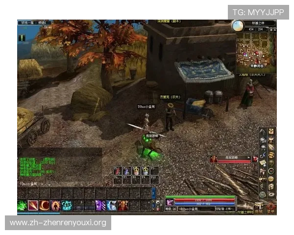 DB真人游戏中的常见问题与解决方案，助你顺利应对各种游戏挑战